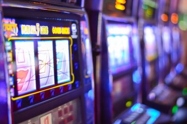 dewi hoki What Makes Bingo Stand Out